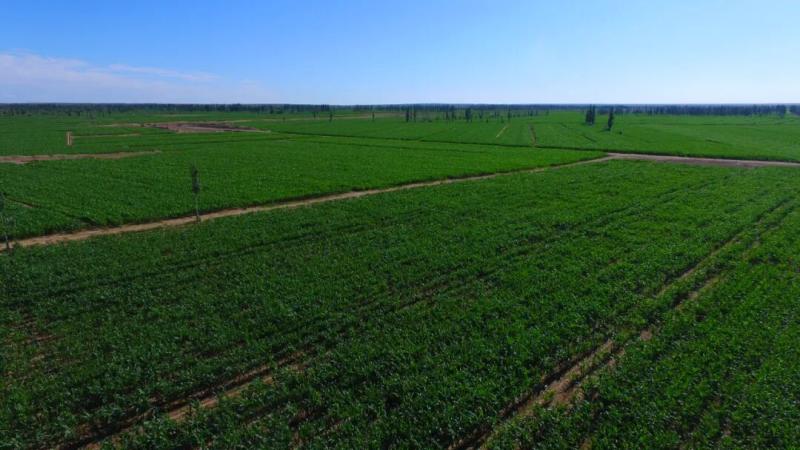 什么是基本农田和一般农田 c5f4d083a819dcdcf84bd818de1615ec.jpg