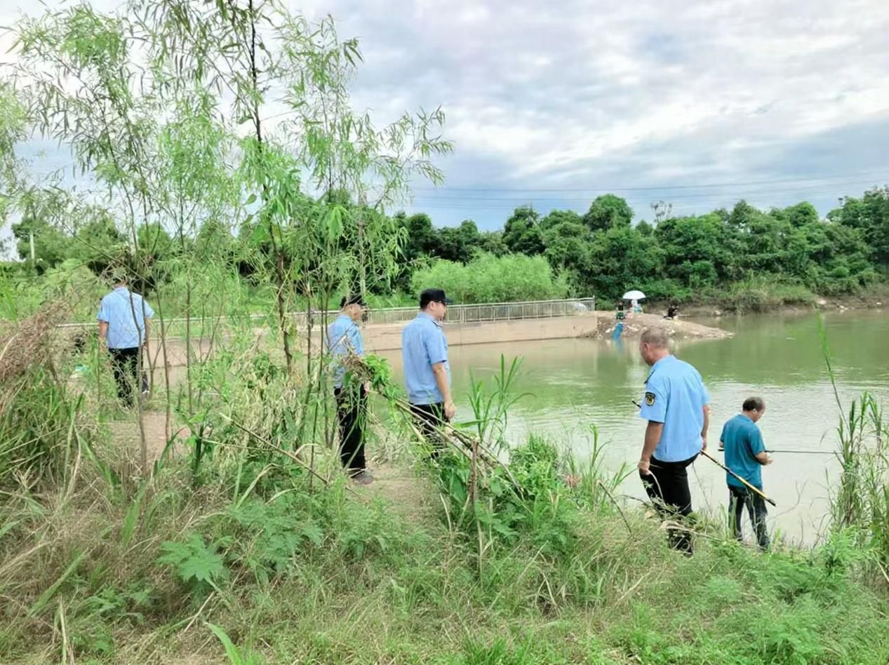 长江十年行丨江西湖口:退捕渔民上岸转型 长江江豚成“常客”_正北方网